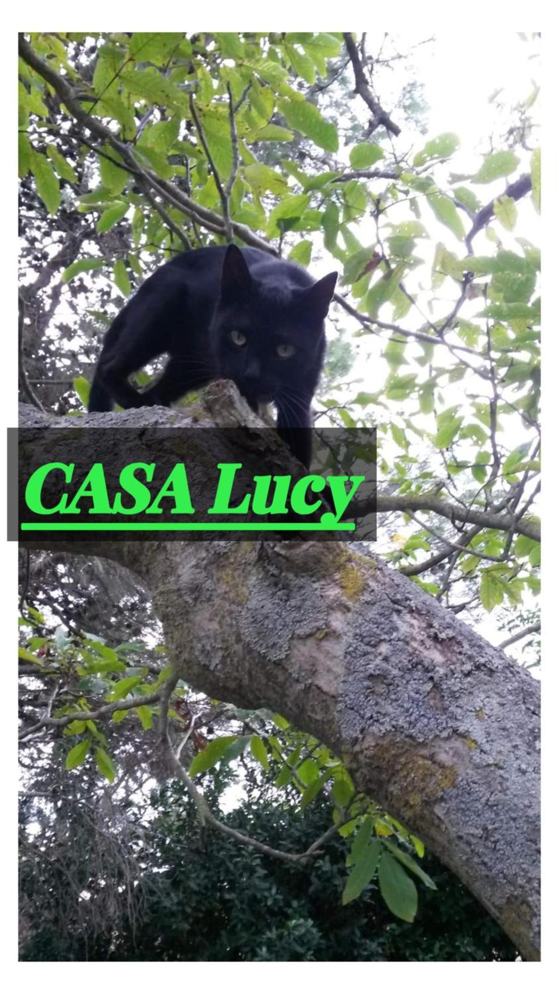 Casa Lucy Apartment Pitigliano Luaran gambar